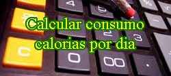 Calcular consumo de calorias por dia
