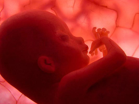 FISIOPATOLOGIA ABORTO fisiopatologia aborto: