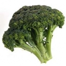 10 vegetales necesarios en la alimentación_brocoli.jpeg