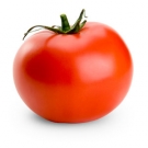 10 vegetales necesarios en la alimentación_tomate.jpg