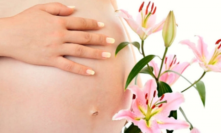 plantas medicinales fertilidad