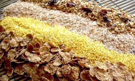 Alimentos ricos en fósforo