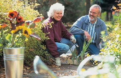 Beneficios de la jardinería en la salud .jpg