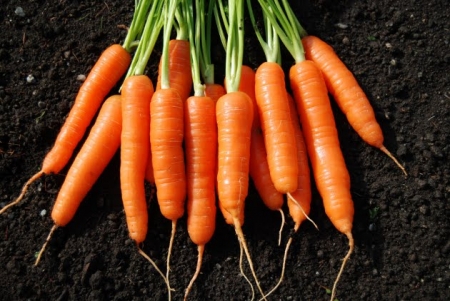 Beneficios de los vegetales anaranjados