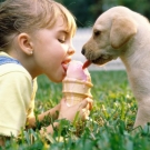Beneficios de tener mascotas-3.jpg