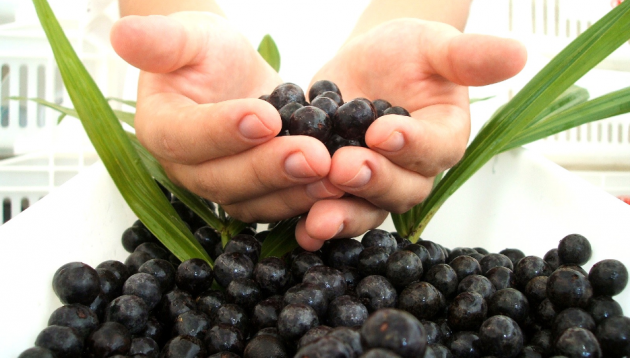 Beneficios del acaí para la salud
