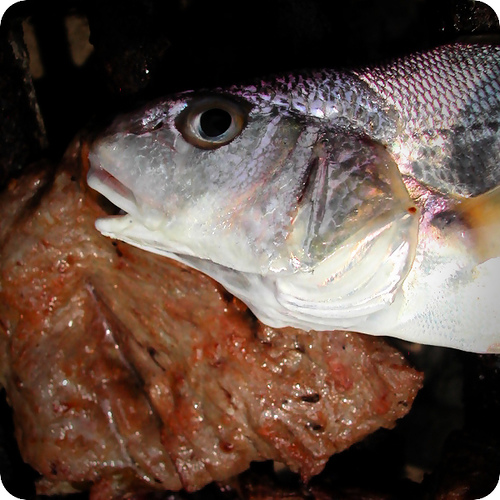 Carne y Pescado Carne y Pescado Alimentación: La Pirámide de los Alimentos