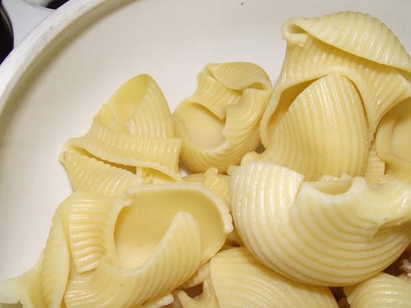 pasta hecha DSCF4053 recetas Codos Rellenos al Horno