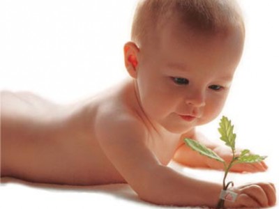 Alimentación de 6 a 8 meses del bebé Alimentación de 6 a 8 meses del bebé