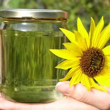 Beneficios y perjuicios del aceite de girasol Beneficios y perjuicios del aceite de girasol