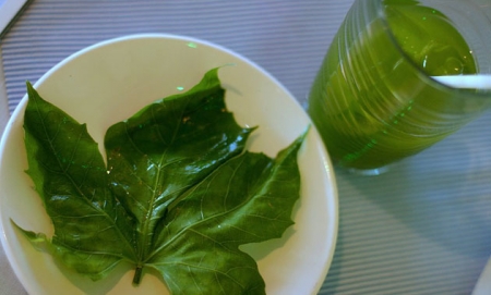 Planta+Chaya+Para+Que+Sirve las plantas medicinales han sido utilizadas desde hace muchos años ...