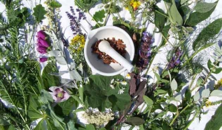 consejos-para-usar-plantas-medicinales2.jpg