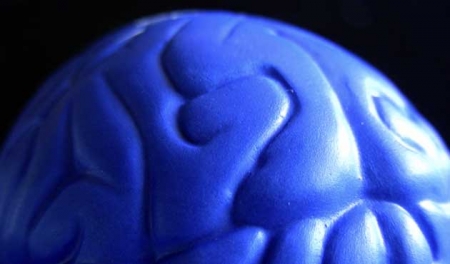 Ejercicios para estimular la memoria Ejercicios para estimular la memoria