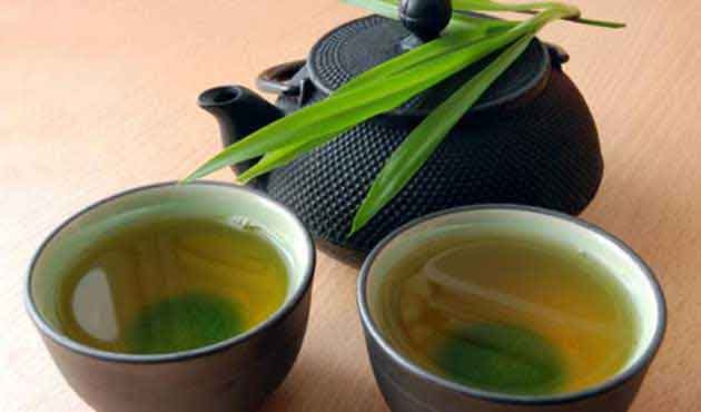 fitoterapia-una-cura-medicinal-a-traves-de-las-plantas3.jpg