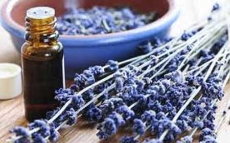 Beneficios de la lavanda para la salud y la belleza Beneficios de la lavanda para la salud y la belleza