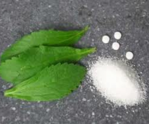 planta_stevia2.jpg
