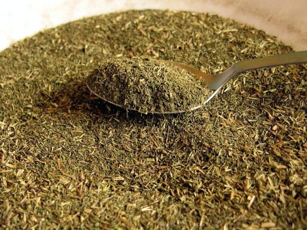 planta_stevia5.jpg planta_stevia5.jpg