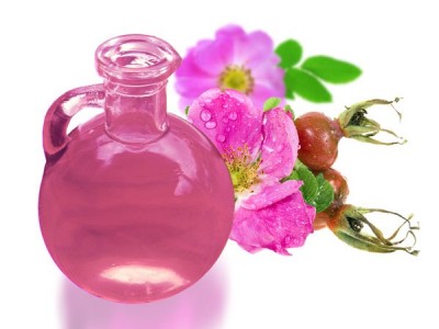 Beneficios de la rosa mosqueta Beneficios de la rosa mosqueta