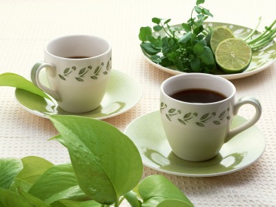 ¿Sabías que el té es la bebida más saludable?