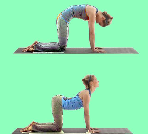 yoga postura gato vaca