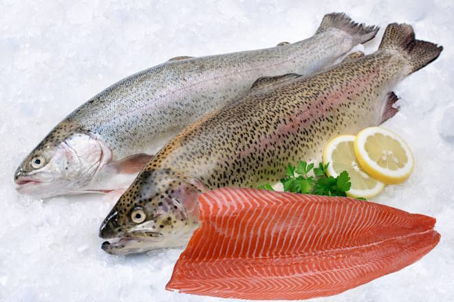 Cuál es la diferencia entre el salmón y la trucha asalmonada