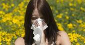 Medicina alternativa y convencional para las alergias
