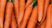 Propiedades de la zanahoria para adelgazar