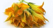 Las flores de calabaza, beneficios
