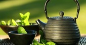 ¿Por qué beber té verde? - Parte II