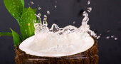 Agua de coco, una fuente de salud