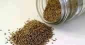 Los beneficios a la salud de la semilla de apio