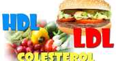 Colesterol HDL y LDL