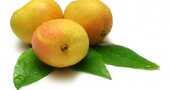 Propiedades curativas del mango