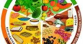 Tipos de alimentos: animal, vegetal y mineral
