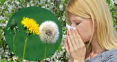 Alergias en primavera: Cómo enfrentar las alergias estacionales