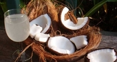 Beneficios de beber agua de coco