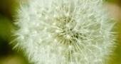 10 consejos prácticos para afrontar la alergia primaveral