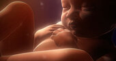 Diagnóstico prenatal para detectar anomalías fetales al inicio del embarazo