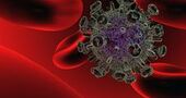 Una vacuna contra el VIH patentada por el CSIC logra una respuesta inmune del 90% en humanos