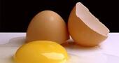 ¿Es bueno comer huevos?