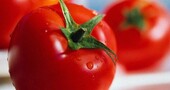 El tomate, un alimento previsor (Parte 1)